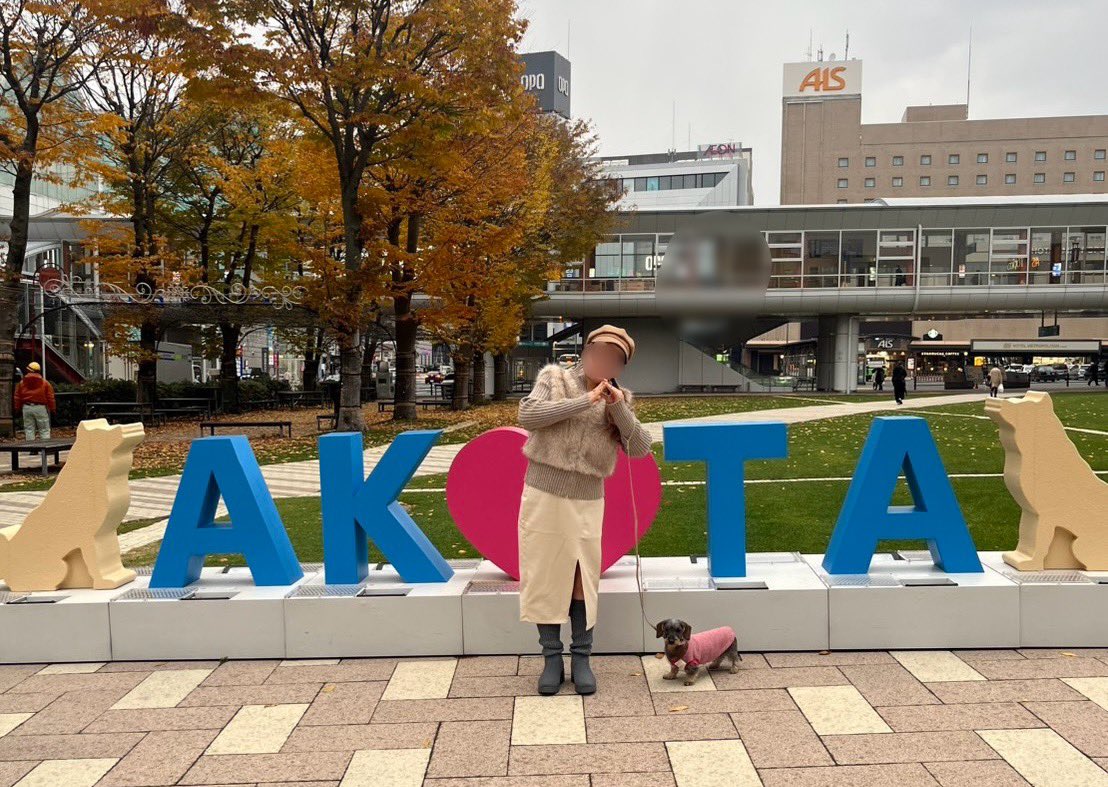 めぐもんじゃー🍏11/8🦅 (@megmonger2) / Posts / X