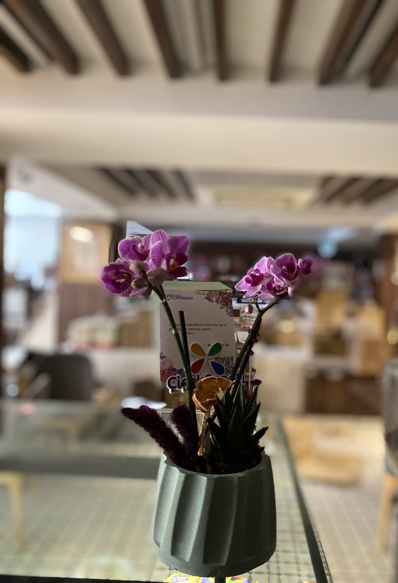 “İyi gelmek, bir insana verilebilecek en güzel hediye. Sesiyle, sözüyle, bakışıyla, duruşuyla, hâliyle, enerjisiyle, perspektifiyle, eylemleriyle birine iyi gelmek,varlığını, yaşamını yükseltmek..
Bundan daha iyisi, birbirine iyi gelmek olsa gerek..” Canım Dost 🩷