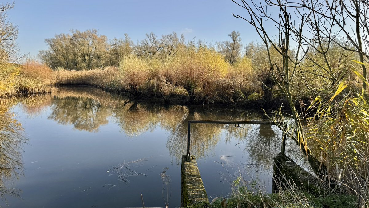 ArieJanVT's tweet photo. Vanmiddag mooi rondje gemaakt over de #avelingen #hardinxveld_giessendam @gemeentehg #natuurfotografie @zoomnl https://t.co/N7V2kBTNwD