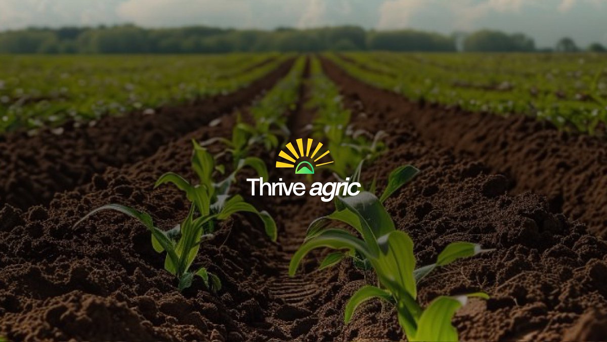SmartMeso's tweet image. My new week&apos;s fav..
12/30
Thrive Agric is a leading African agritech company that empowers smallholder farmers by linking them to finance, data-driven best practices, and markets for their commodities. 

I smiled when I was done with the rebrand 😇
 #30DaysCreativeEvolution