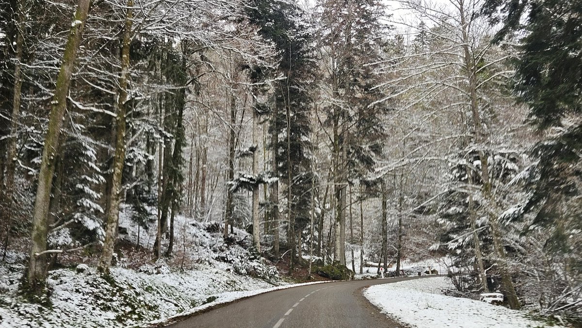 djamshul's tweet image. Я нашла снег🤍