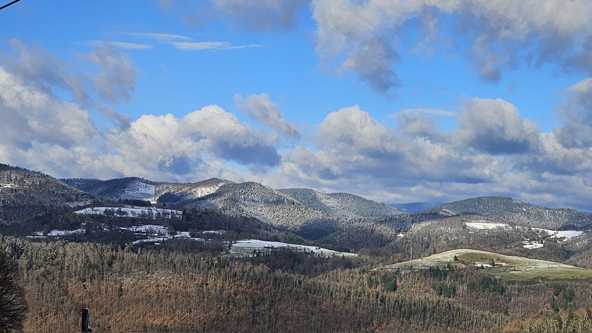 djamshul's tweet image. Я нашла снег🤍