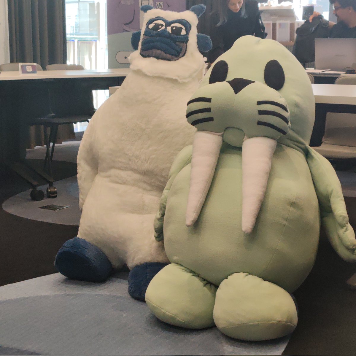 Aydın Yakar tweet media