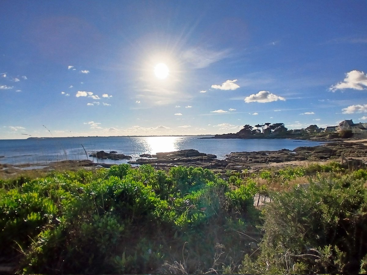 valerie7456's tweet image. Un petit air de Lomener sous un beau soleil 🌊☀️
Bel après-midi 😊
#Bretagne