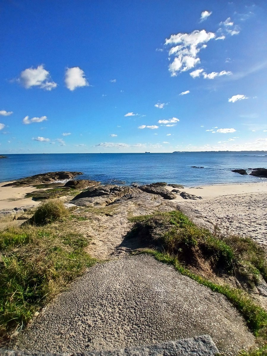 valerie7456's tweet image. Un petit air de Lomener sous un beau soleil 🌊☀️
Bel après-midi 😊
#Bretagne