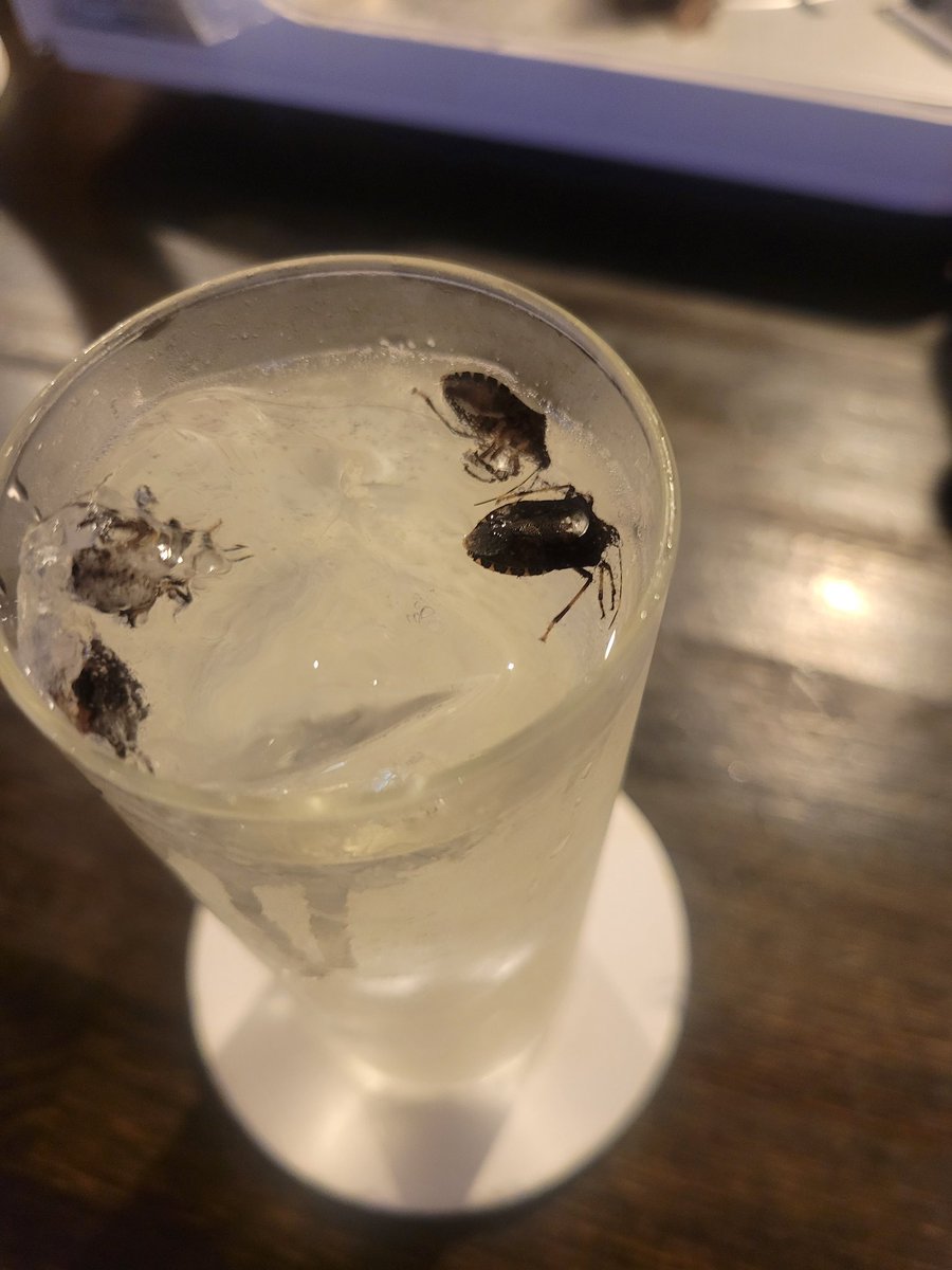 rey66601's tweet photo. カメムシは苦手
虫は苦手なのでサソリさんが食べてくれました https://t.co/acZwGPkgwh