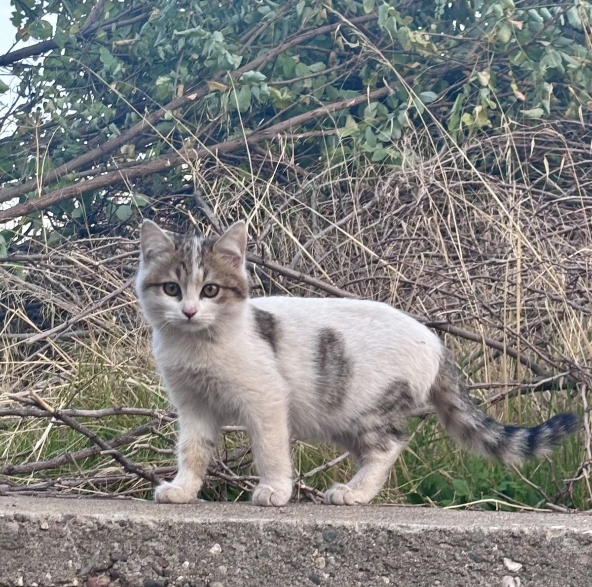 ne kadar güzel olduğundan habersiz bir ömür🫶