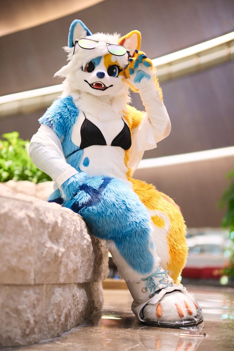 嗨～
📸：源子
#FursuitFriday