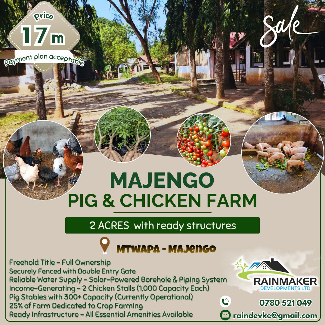 KeRainmaker's tweet image. 🔥 Exceptional Agribusiness Opportunity: Sale, JV, or Lease!

✅ Freehold Title | Solar-Powered Borehole | Fully Fenced
🐖 300+ Pigs | 🌾 Productive Farmland | 🐓 2 Poultry Units
💼 Flexible Options: Sale, Joint Venture, or Lease!

📞 0780521049 | 📧 raindevke@gmail.com