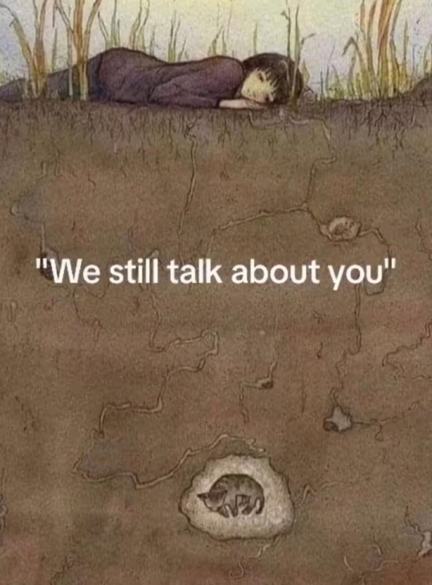 zone 🌽 tweet media