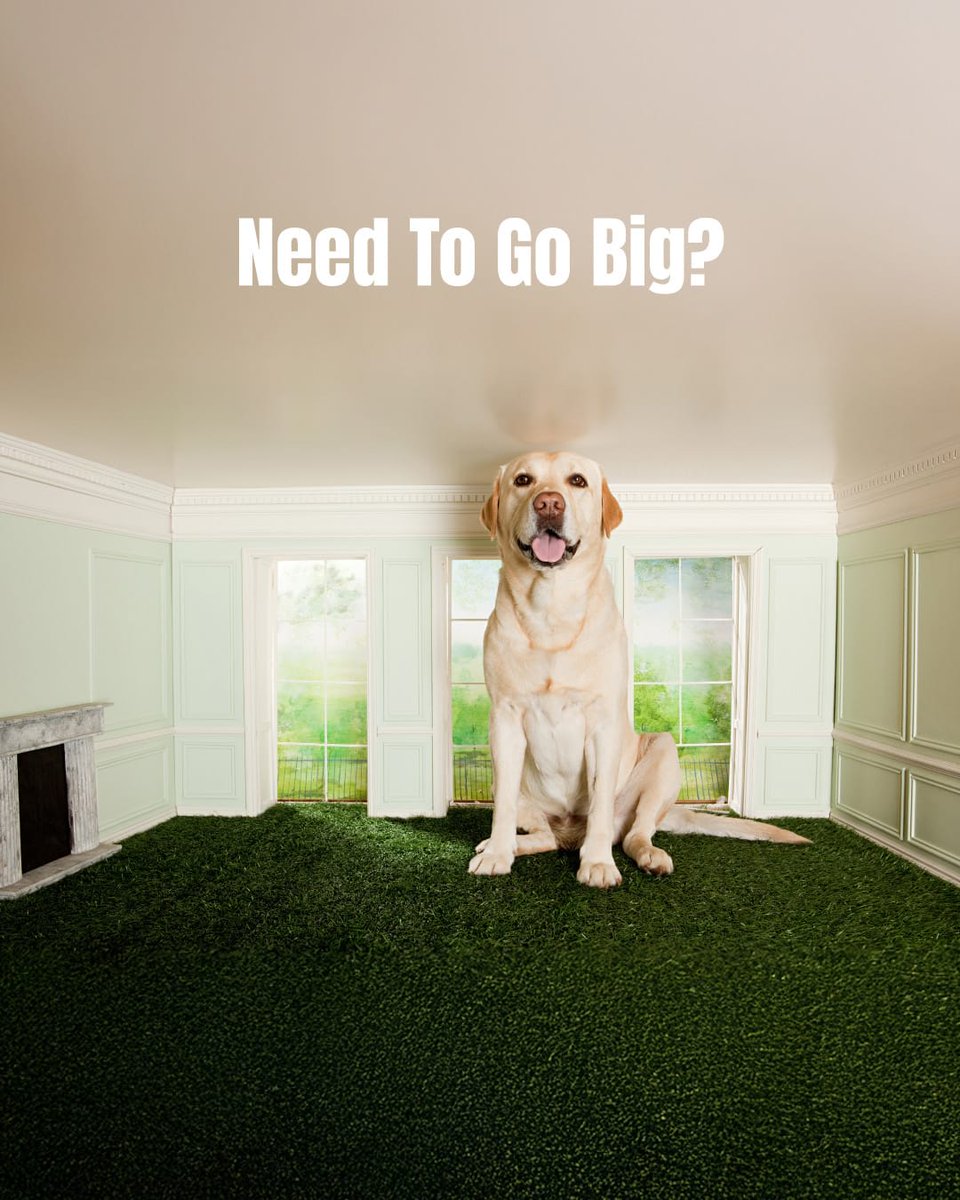 ChrisGianino's tweet image. If a conventional mortgage isn&apos;t enough to fulfill your home dreams, let me help set you up with a jumbo loan. Call to learn more! #LowerRates #BetterService #FasterClosings #JumboLoans #ConventionalLoans #FHALoans #VALoans #DSCRLoans #BankStatementLoans thePinnacleLoans.com