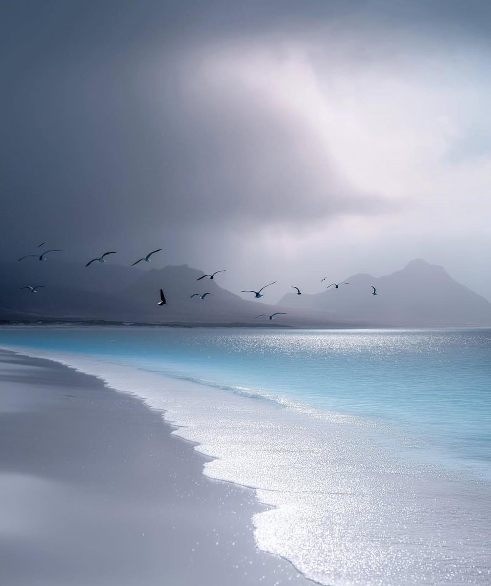 sun (@sun1358481) on Twitter photo 