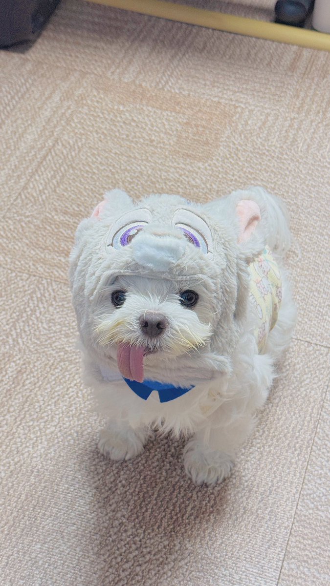 앚웆누나 tweet media