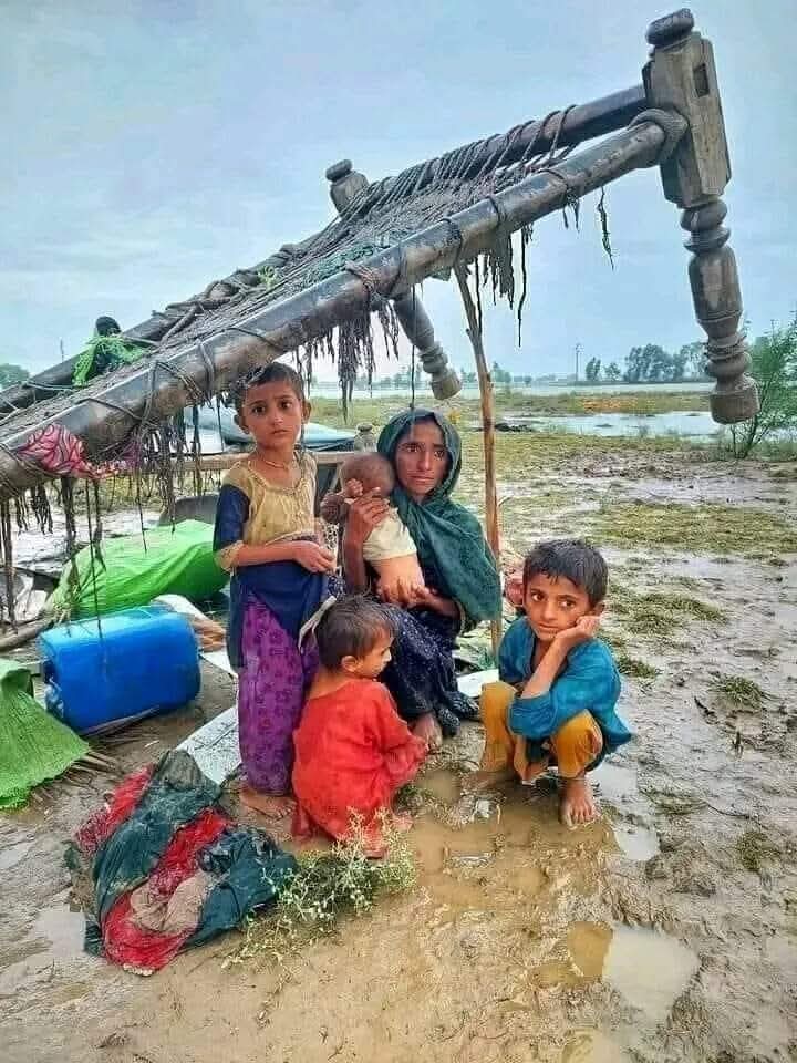 jafarkh70504156's tweet image. नाचती हुई औरत पर पैसा फेंकना बड़ा आसान है..?
*लेकिन मजबूर और लाचार औरत की मदद करना बहुत मुश्किल हैं।