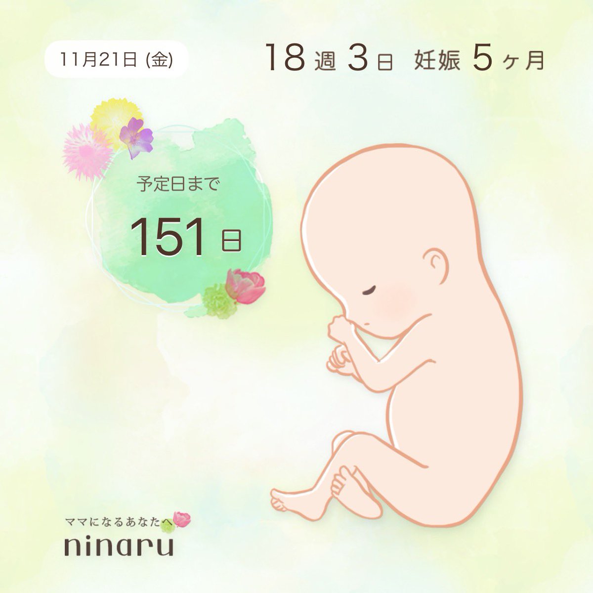 さゆ🐧 (@sayulinapen) / Posts and Replies / X