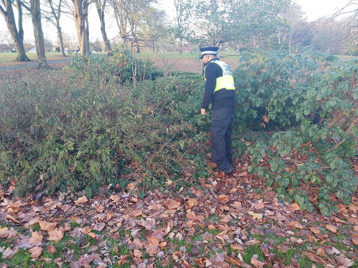 LozellsWMP's tweet image. Our PCSO'S were busy yesterday, conducting weapons sweeps in local parks, Community coffee morning at Welford Primary school and attending Lozells Advice surgery with @WaseemZaffar   at Heathfield Primary school. #NeighbourhoodPolicing #BusyDay