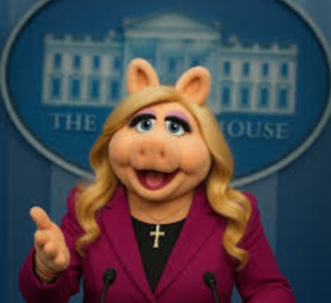 AukeHoekstra (@aukehoekstra) on Twitter photo 