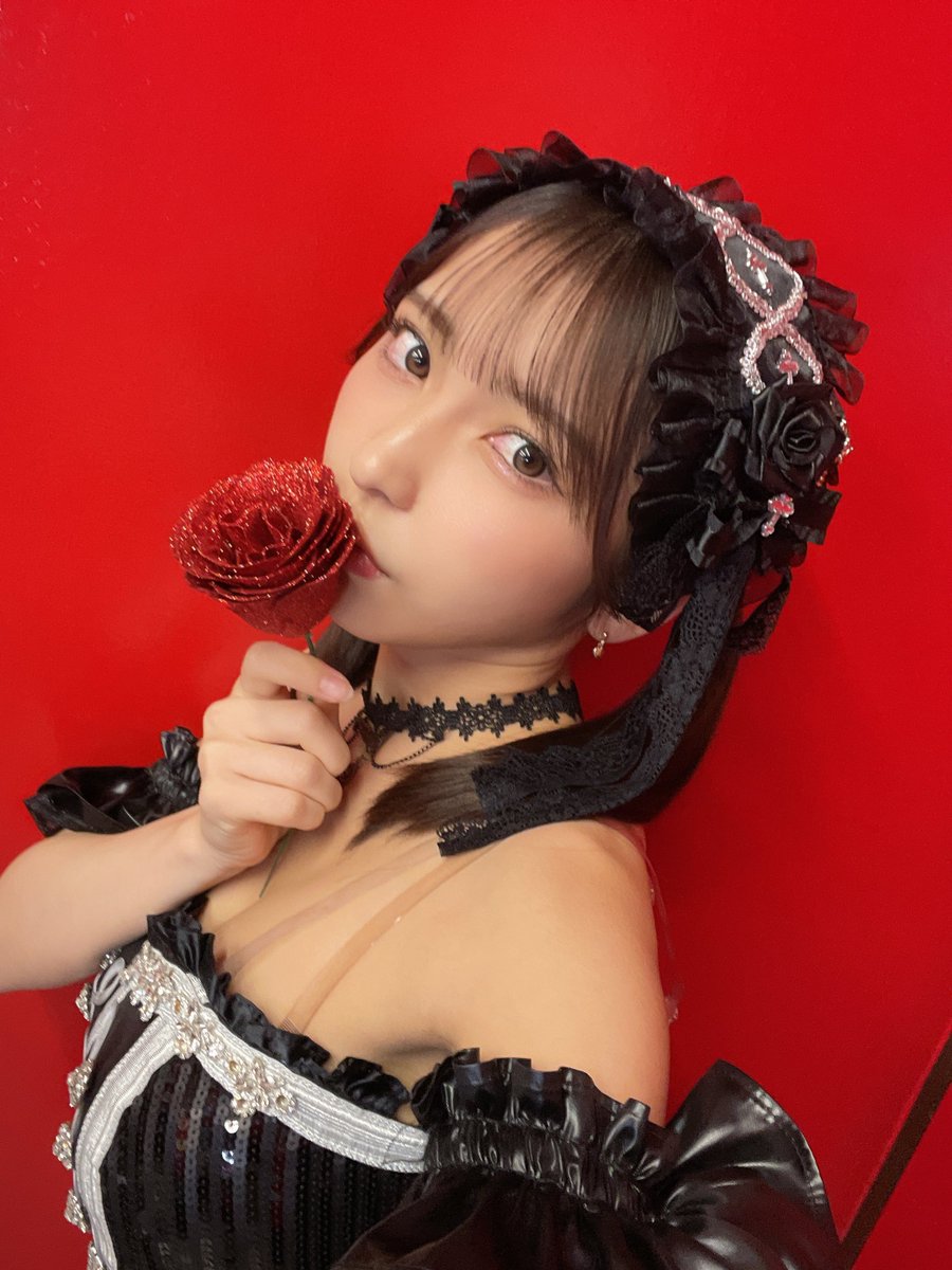 十味セット 十味セット 十味セット 十味セット Ninja ZX-10R（2024年モデル）適合