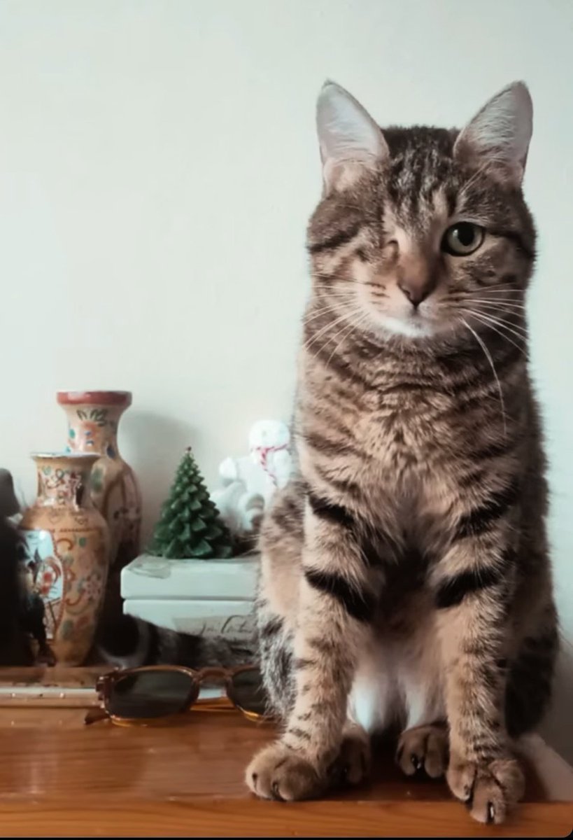 Bir çobanın bulup büyüttüğü, yetiştirdiği küçük olcayto yıllar sonra yedi budunda yenilmezliginle ün salan yüce bir yiğit oldu.