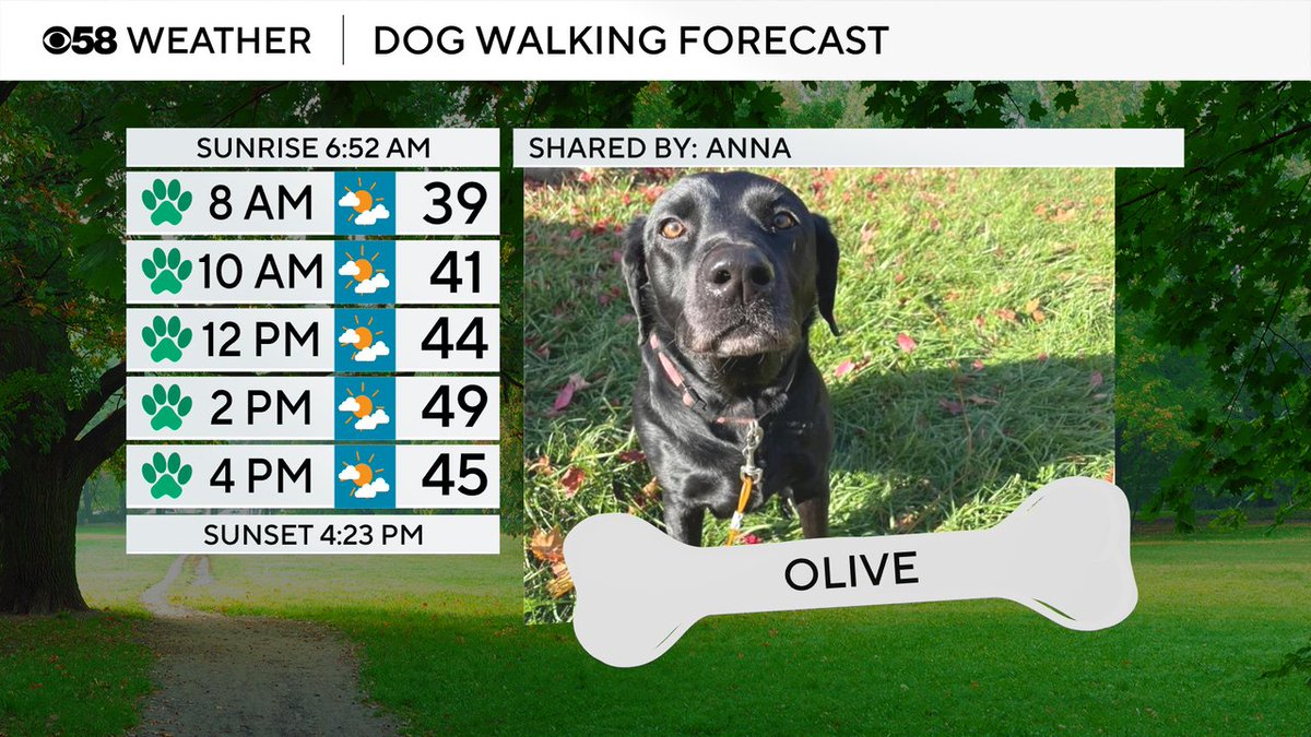 Olive is our featured pet of the day! More clouds in southern counties today and sunshine in northern counties. Not bad with the temps with highs reaching the upper 40s. Have a great weekend!