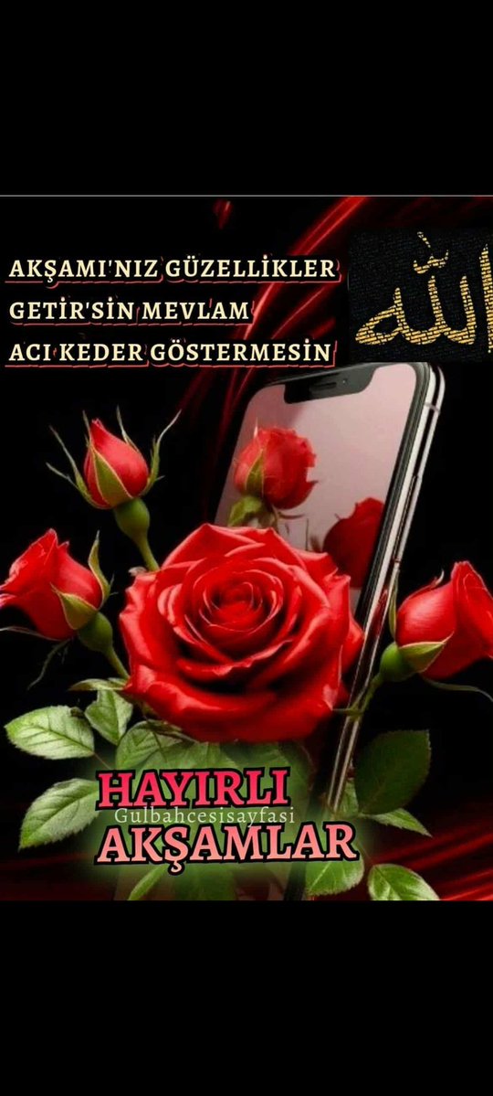 Hayrullah ATALAY (@atalayhayrulla2) on Twitter photo 