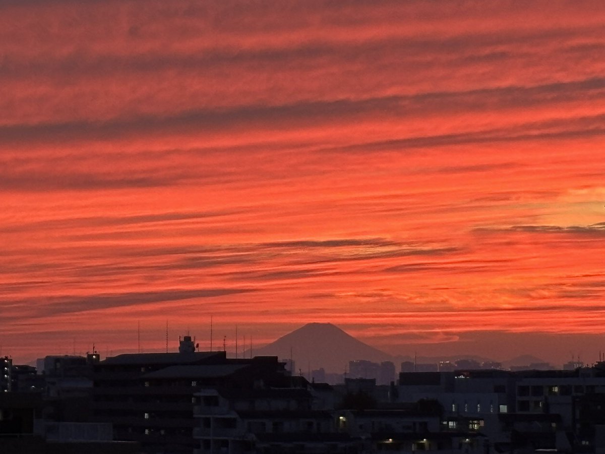 ← 11/21                                      10/29 →

前回は一面真っ赤で雲結構あり
今回は一切雲はないけどオレンジ

同じ空の同じ夕焼けでこんなに違うけど、どっちも綺麗だなぁ

#富士山
#夕焼け