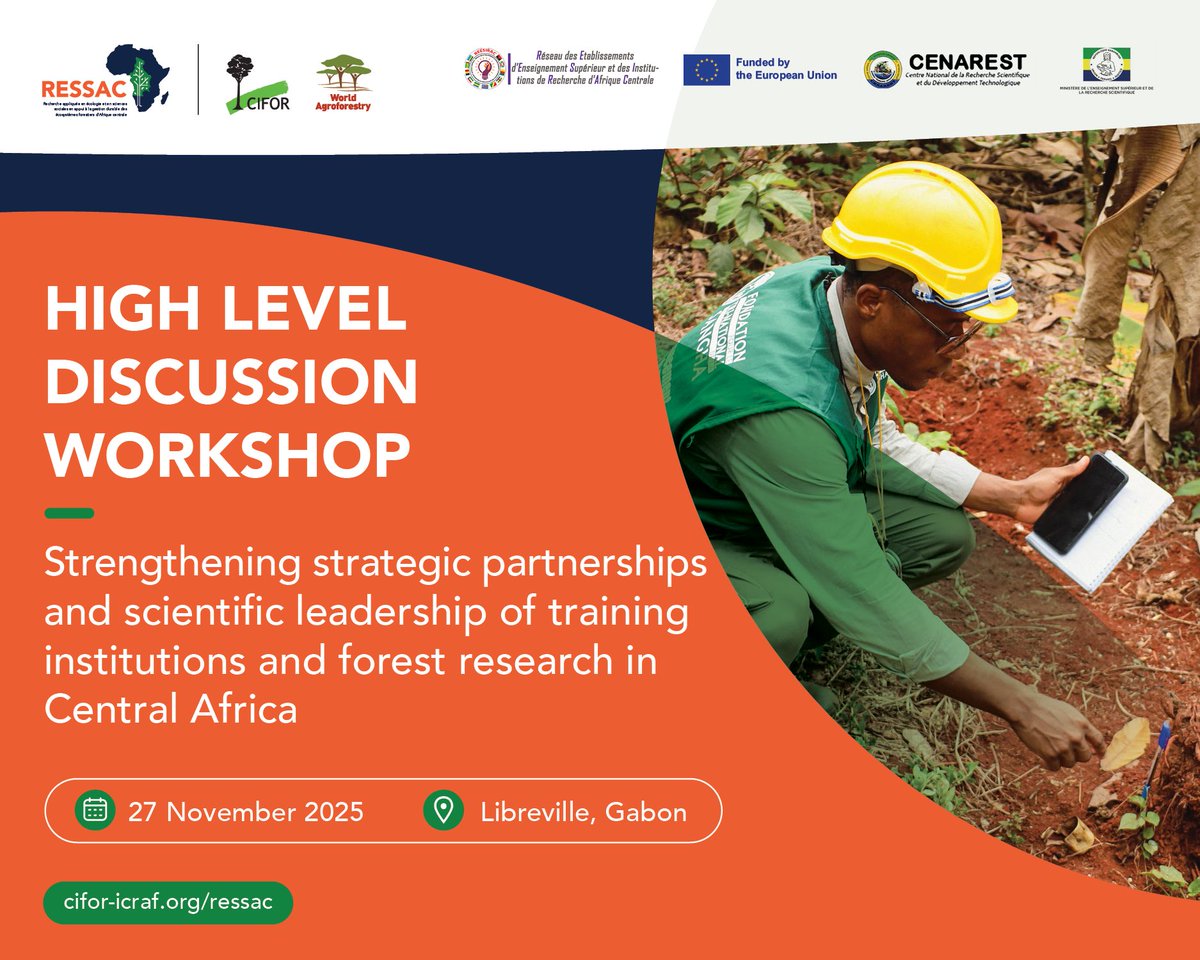 TheLandAlliance's tweet photo. 📣 Happening on 27 Nov in Libreville:
A high-level workshop under the EU-funded #RESSAC programme will bring Central African universities and partners together to strengthen applied forest research and the role of post-doctoral programmes in the region.

Join us:🔗 https://t.co/X9IBT3MkAU

#Trees4Resilience