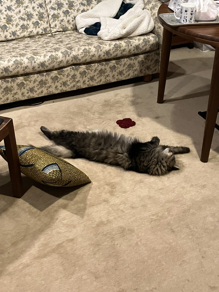 安定の座礁　我関せず。