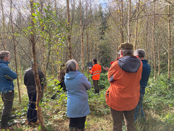 teagasc's tweet photo. Teagasc’s long-running birch research and the new BirchGen project are revealing how Ireland’s downy birch can be improved, conserved and better adapted for future forestry, Dheeraj Singh Rathore, Tomás Byrne &amp; Stephen Byrne, @teagascforestry tells us more https://t.co/m1NDzNBgzb https://t.co/XZocSFbHPv