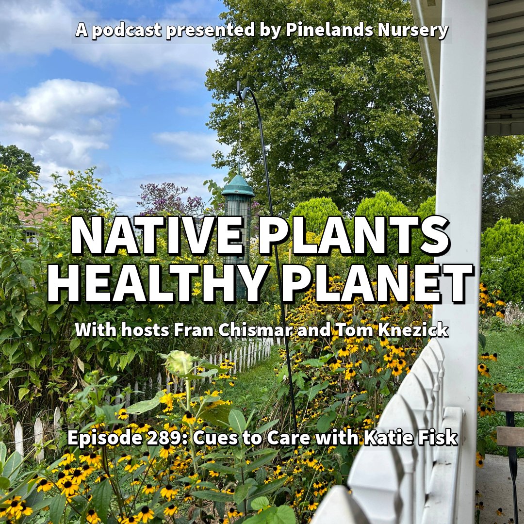 Tom &amp; <a href="/nativeplantfran/">Fran Chismar</a> connect w/environmental educator Katie Fisk to discuss Cues to Care. Topics include Katie’s journey into environmental stewardship, tips for creating biodiversity on your own property, creating habitat. bleav.com/shows/native-p…