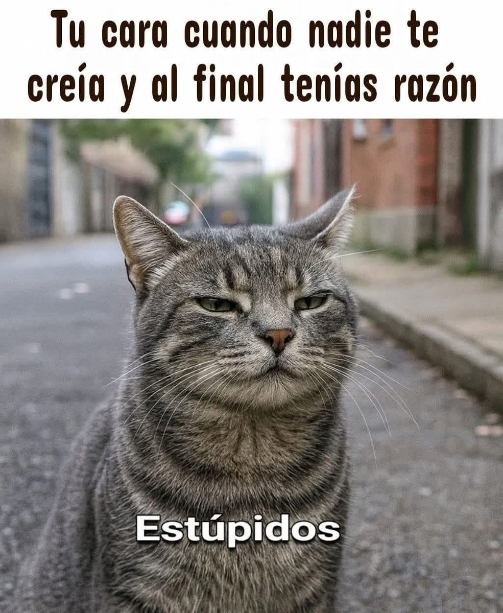 Ange Obscure (@angeobscure) on Twitter photo 