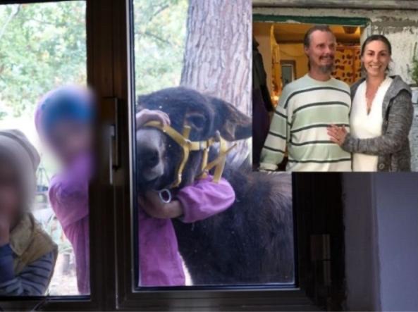 cavepaleo's tweet image. Terrible news. A UK family who moved to Italy to raise their kids in nature just got their KIDS TAKEN AWAY.

They lived in a remote farmhouse in the forest, with well water, solar panels, a compost toilet &amp;amp; a private teacher.
Outside the medical system. Outside the schooling…