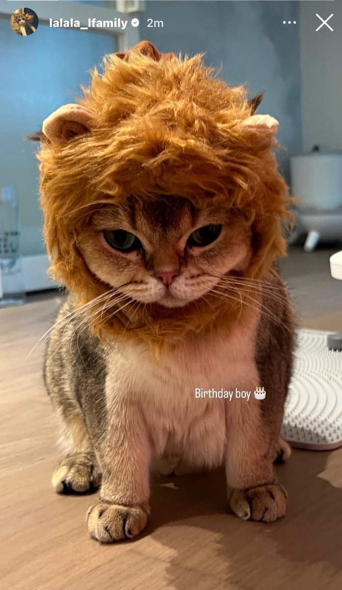 lalala_lfamily IG story update:

“Birthday boy 🎂”

<a href="/wearelloud/">LLOUD</a> #LISA