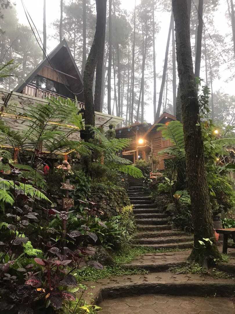 🦈 SUROBOYOFESS 🐊 tweet media