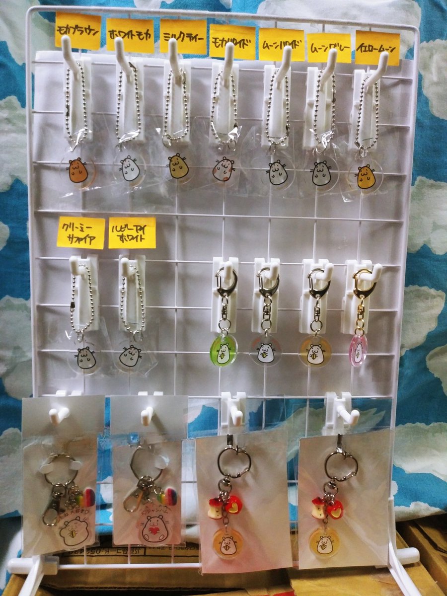 じゃんがりあんはむSTAR【ブリーダー】 (@shiromaru98) / Posts / X