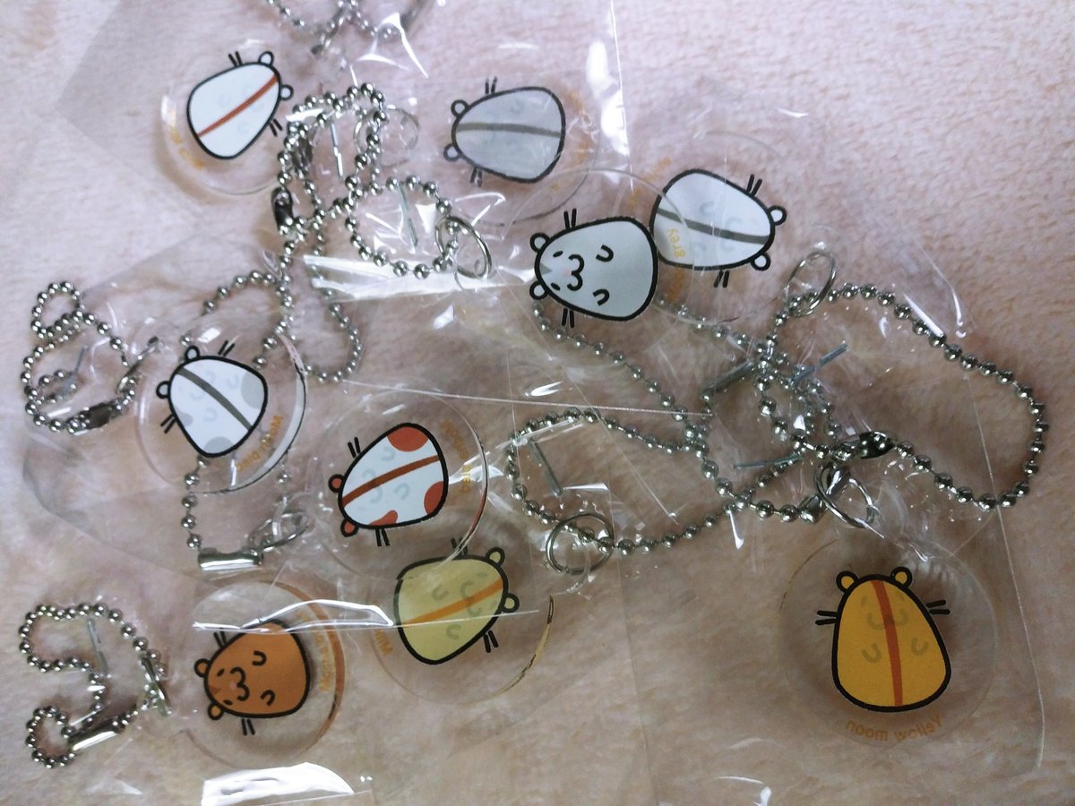 じゃんがりあんはむSTAR【ブリーダー】 (@shiromaru98) / Posts / X