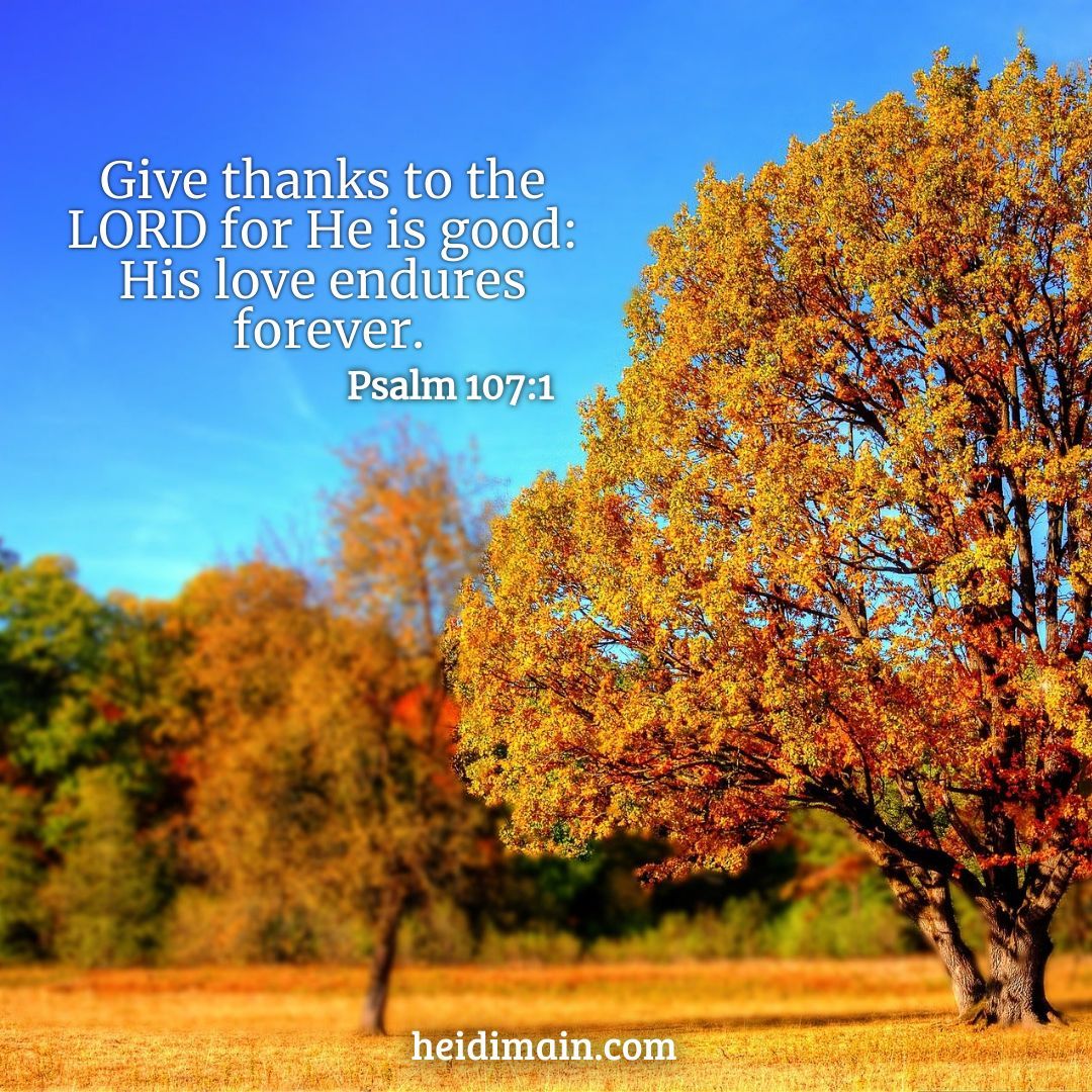 HeidiMain's tweet image. 💜💜💜
#ReflectionFriday #reflections
#scripture #bibleverse #faith