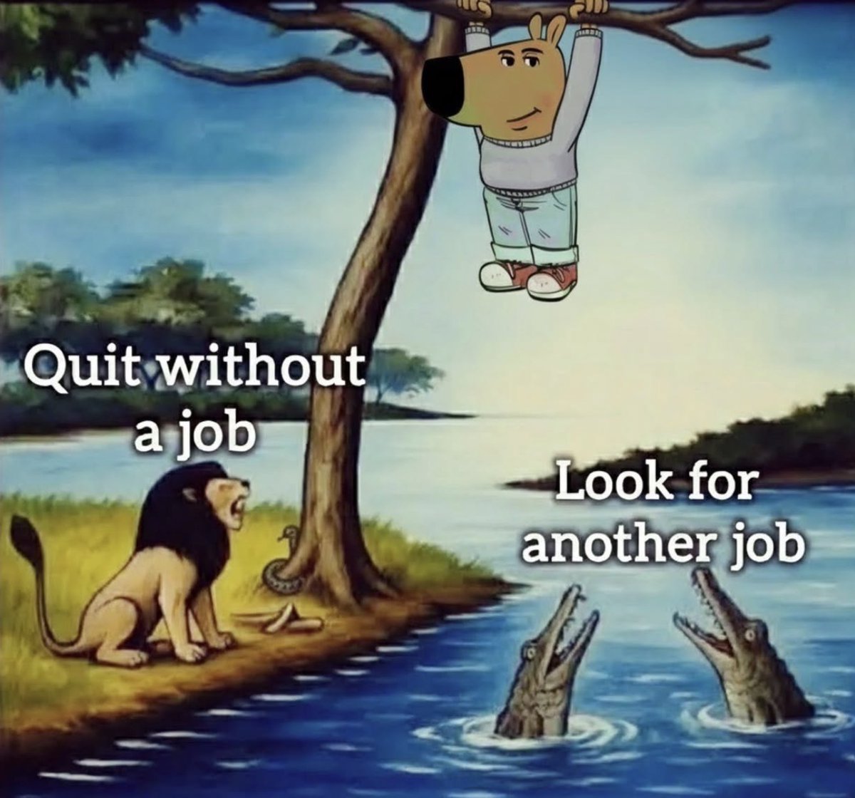 chillguyさん専用 1000ドルを100万ドルに！TikTokで流行中のミームコインJust a chill