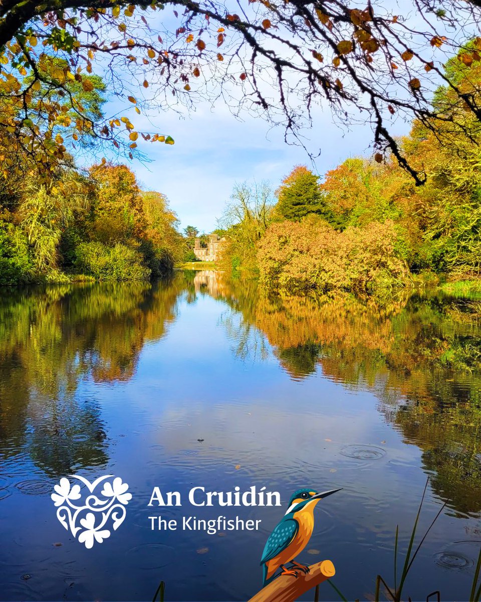 Our gardeners at <a href="/johnstowncastle/">Johnstown Castle Estate, Museum & Gardens</a> are transforming the lakes into thriving wildlife habitats. 🌿
By leaving overhanging branches &amp; fallen trees, they’re creating shaded refuges for fish &amp; perfect perches for herons &amp; kingfishers.
A small, strategic change making a big difference
