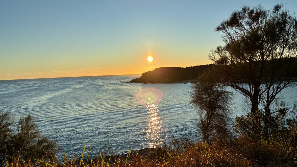 major_subloop's tweet image. Mr Simple says:-

If you are wondering what to do…
what to do…

Just let go of all the shoulds  in your life and do what comes naturally…

I trust life