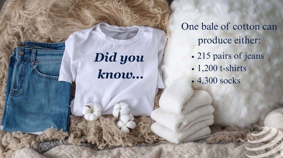 CottonShippers's tweet image. From farm to fashion — cotton continues to clothe the world. #FarmToFashion #FridayFunFact #ChooseCotton
