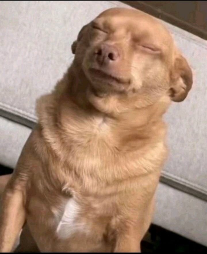 jesu__tofunmii's tweet image. See, when I make a post and it doesn&apos;t bang i will continue to post it till y&apos;all engage and it bangs. I&apos;m not leaving your necks alone. You people must engage me by fire by force!