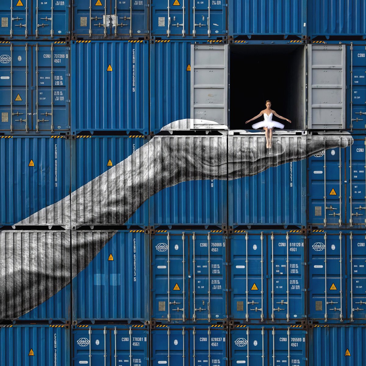 cameralab21's tweet image. Aleksandar Bozinovski - Ballerine dans des conteneurs, Street Art par JR au Havre, France