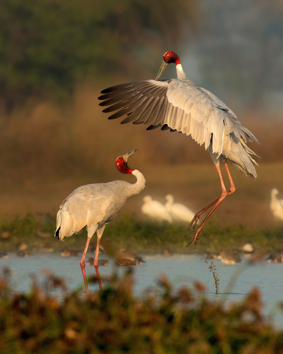 Define Happiness via photo!