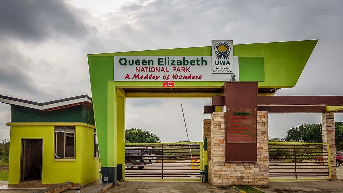 DagizTravel's tweet photo. Queen Elizabeth National Park ..One of the only places in the world where lions rest in trees!
Plus:
🐘 Elephants | 🐃 Buffalo | 🐆 Leopards
🦛 Kazinga Channel wildlife | 🦜 600+ bird species

This is where Uganda’s wild magic happens!
#DagizTravel #TreeClimbingLions #VisitUganda https://t.co/fSTDM7rTnH