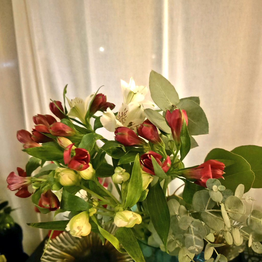 Ieeinpyo's tweet photo. screaming crying throwing up i got my first ever flower delivery https://t.co/KYtpS9TMcM