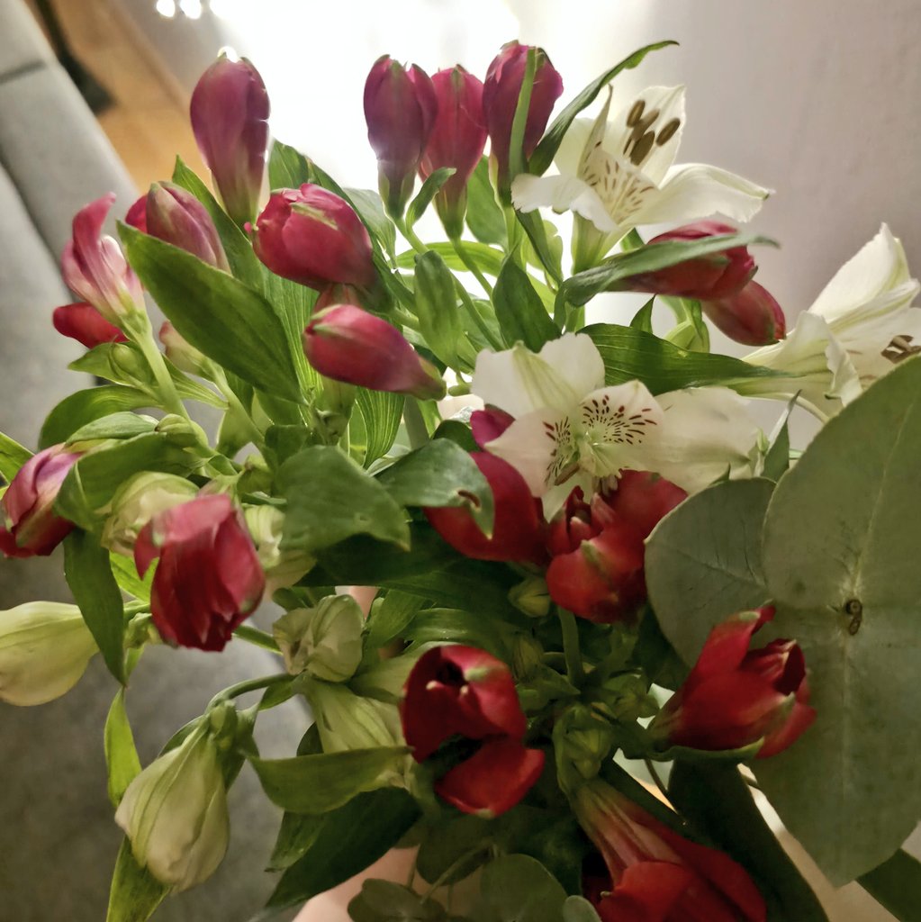 Ieeinpyo's tweet photo. screaming crying throwing up i got my first ever flower delivery https://t.co/KYtpS9TMcM