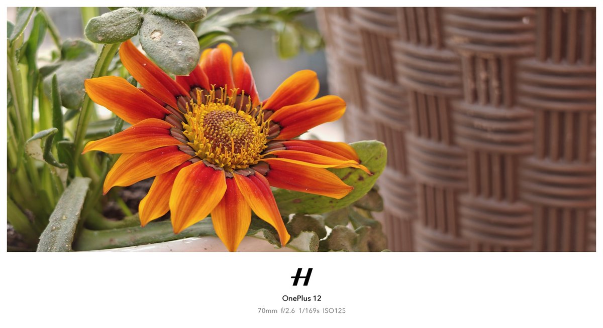 thegadgetshub's tweet image. never leaving this 1/1.4&quot; + 1/2&quot; (with 20cm MFD) camera combo 😎