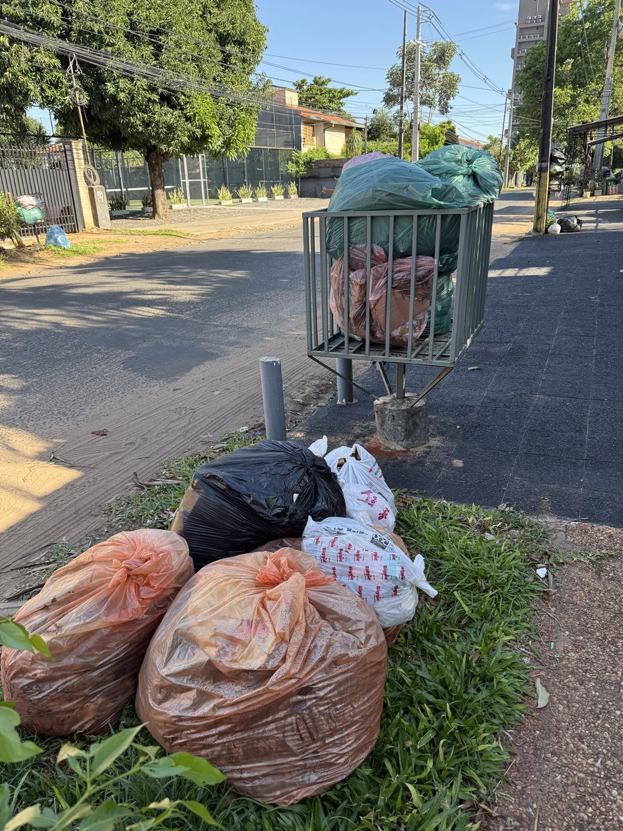 CarlitosDuarte's tweet photo. @AsuncionMuni que feo espectáculo para los extranjeros que vienen a ver la final de la Sudamericana y pasan por el barrio Mburucuya, dos semanas sin el servicio de recolección, una VERGÜENZA Sr. Intendente  @luisbello_asu 
@AM_1080 @ABCCardinal @nanduti https://t.co/QWdAaZs7jT