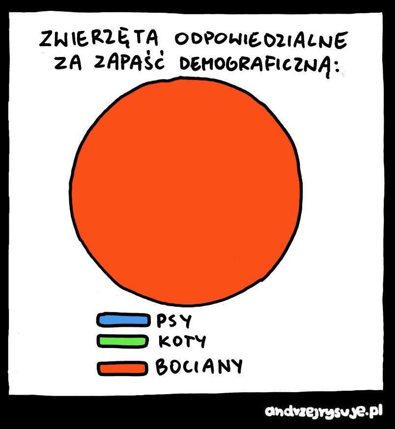 prosze_o_rt's tweet photo. https://t.co/EJm8CSym83